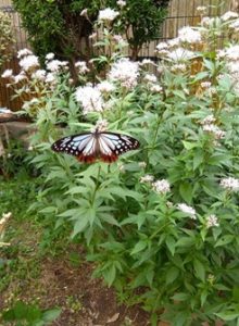 11%e6%9c%88%e3%83%96%e3%83%ad%e3%82%b0%e7%94%a8