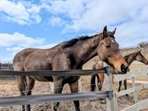 %e3%83%96%e3%83%ad%e3%82%b0%e6%8e%b2%e8%bc%89%e5%86%99%e7%9c%9f2026-3